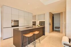 Amber Park (D15), Condominium #454551341